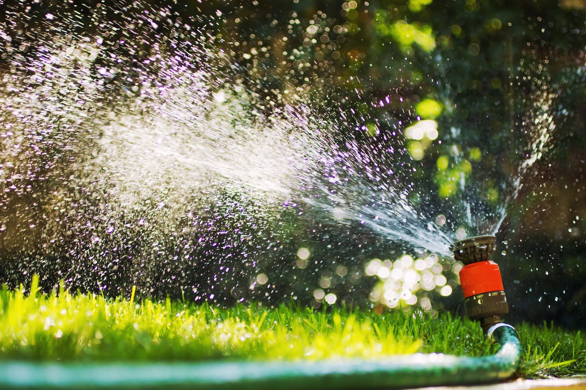 Close up of an irrigation sprinkler spraying water